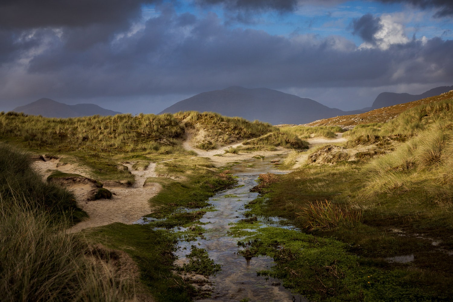 Weg durch die Dünen zum Strand Weg durch die Dünen zum Strand