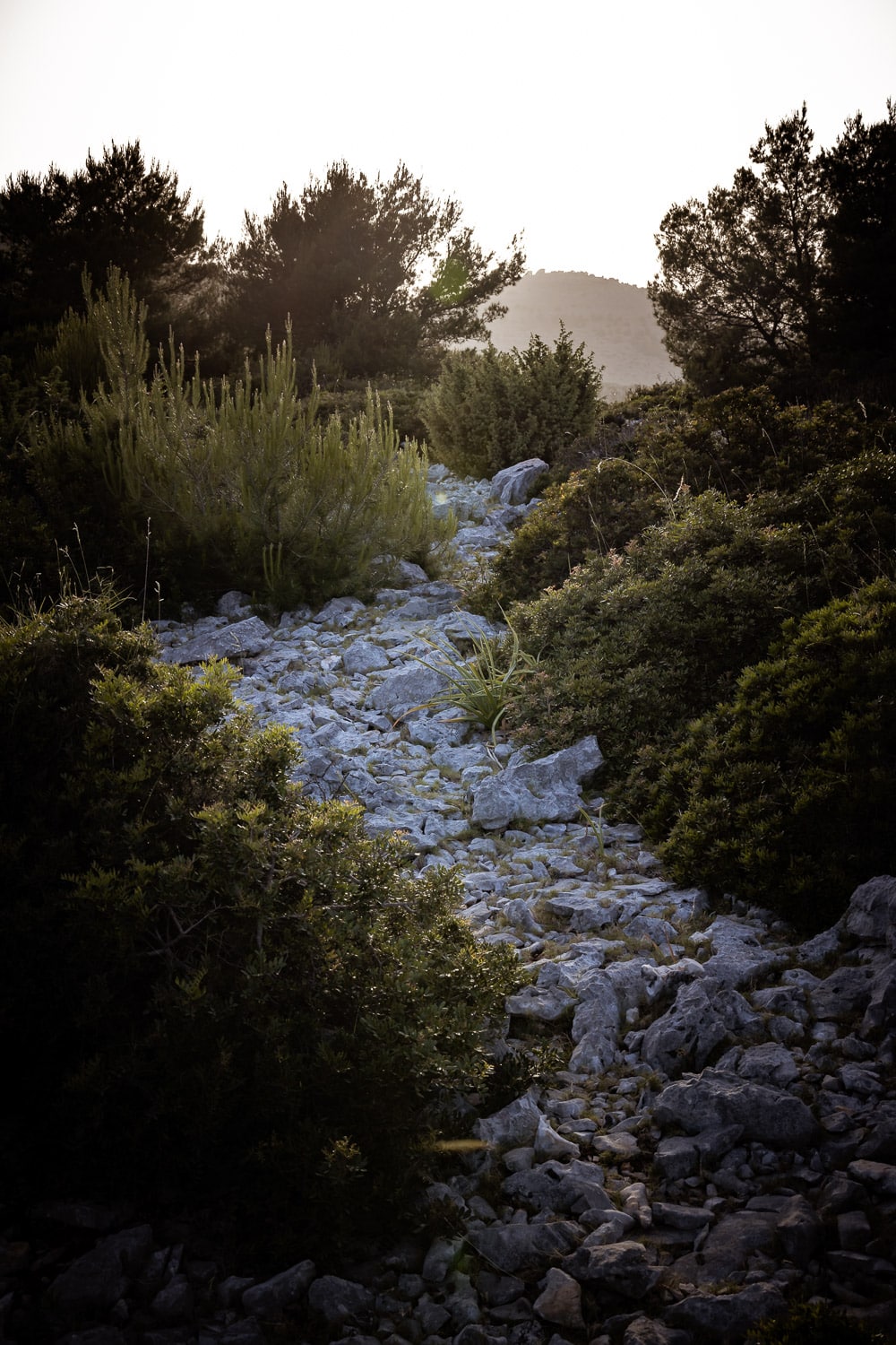 MJ 6573 Žut | steiniger Weg